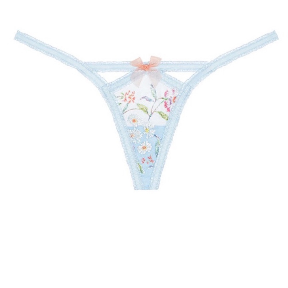 For Love And Lemons Garden Embroidery Thong Panty - Picture 4 of 4